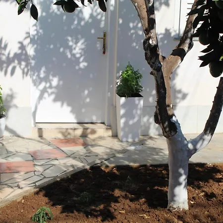 Orange Grove Retreat 아파트