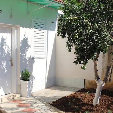 Lägenhet Orange Grove Retreat Tirana