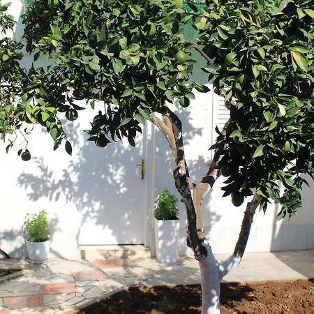 Orange Grove Retreat Tirana