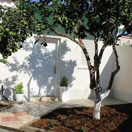 Orange Grove Retreat Apartment *