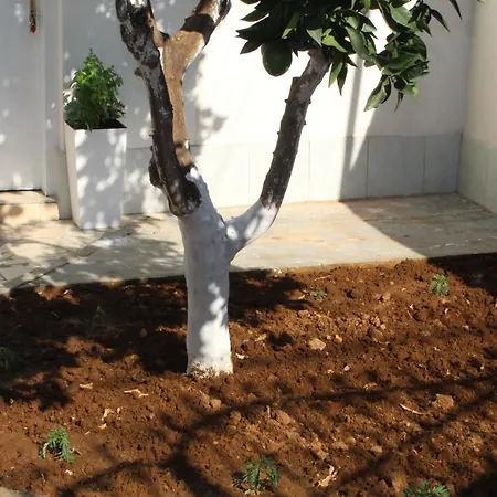 Orange Grove Retreat Apartman *