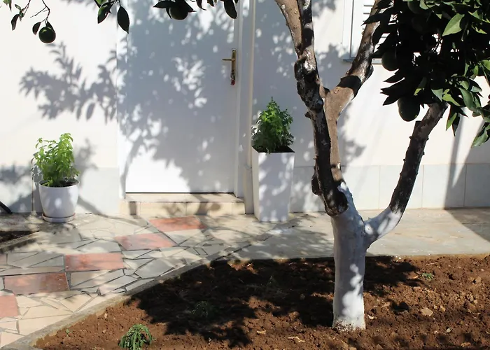 Orange Grove Retreat Apartment