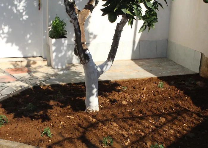 Orange Grove Retreat Apartman *